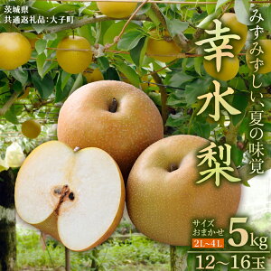 �y�ӂ邳�Ɣ[�Łz��錧�Y �� �K�� �T�C�Y ���܂��� �i2L�` 4L �j 5kg�i 12�`16�� �j�y2026�N8�����{�����J�n�z (��錧���ʕԗ�i�F��q��) �� �Ȃ� �i�V �ʕ� �������� �G�� �t���[�c �f�U�[�g 