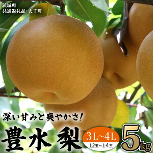 �y�ӂ邳�Ɣ[�Łz��錧�Y �� �L�� �T�C�Y ���܂��� �i 3L�`4L �j 5kg �i 12�`14�� �j �y2026�N9����{�����J�n�z (��錧���ʕԗ�i�F��q��) �� �Ȃ� �i�V �ʕ� �������� �G�� �t���[�c �f�U�[�g 