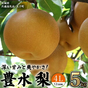 yӂ邳Ɣ[Łz錧Y  L 4L 5kg(12ʑO) (錧ʕԗiFq)  Ȃ iV ʕ  G t[c fU[g {
