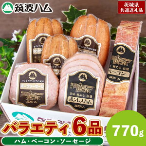 yӂ邳Ɣ[Łz}gn oGeB 6i ( n x[R \[Z[W ) v770g 錧Y w 헤̋P x uh  ( 錧ʕԗi ) l lߍ킹   EBi[ n