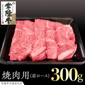 yӂ邳Ɣ[Łz헤 [X ēp 300g ( 錧ʕԗi ) Y  ē Ă o[xL[ BBQ uh Mtg 蕨 j јa ōuh