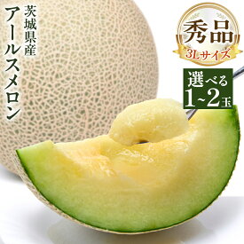 【ふるさと納税】 ＼選べる内容量／【 先行予約 】茨城県産 アールスメロン 秀品 3L サイズ 1玉 or 2玉 【 2026年8月下旬から発送 】 おすすめ JA全農いばらき JA メロン めろん ふるさと納税 フルーツ 予約 マスクメロン くだもの 果物 国産旬 定番 旬 期間限定 青肉 果物