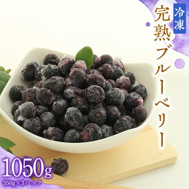 【ふるさと納税】冷凍 完熟 ブルーベリー 1,050g（ 350g × 3パック ） 数量限定 ベリー 甘い 甘酸っぱい 完熟 新鮮 フルーツ 果物 くだもの 贈り物 贈答 ギフト 国産 茨城 農園 産地直送