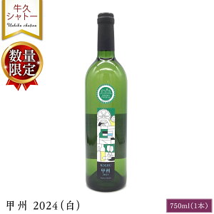 yӂ邳Ɣ[Łzy ʌ z bB 2024ij 1{ 750ml C C Ì AR[13x 750~bg bBgp Mtg v[g LO a ̓ ̓  蕨