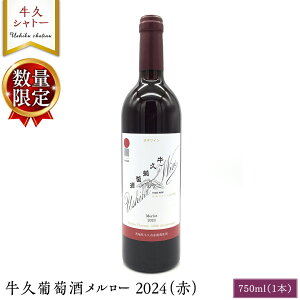 yӂ邳Ɣ[Łzy ʌ z v[ 2024iԁj 750ml 1{  vVg[ Ci[ ԃC Ԃǂ YԂǂ  蕨 Cg{fB {C _|w@ 킢