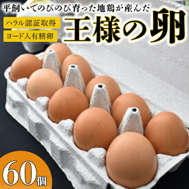【ふるさと納税】王様の卵 ヨード入 60個 平飼い 地鶏 有精卵 濃厚 卵 こだわり卵 たまご