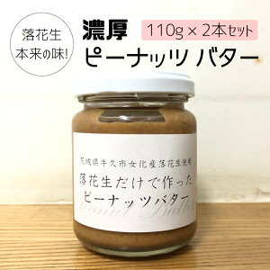yӂ邳Ɣ[ŁzԐ {̖! Z s[ibc o^[ 110g × 2{Zbg Hi I[KjbN W s[ibcN[ ibc ① p x[O