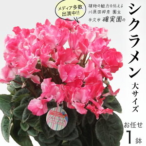 yӂ邳Ɣ[ŁzVNuTCYv ܂ 1_  s\ K[fjO  ͂ t[  A 퉷 Mtg v[g 蕨  vs m