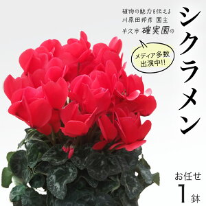 yӂ邳Ɣ[ŁzVN ܂ 1_  s\ K[fjO  ͂ t[  A 퉷 Mtg v[g 蕨  vs m