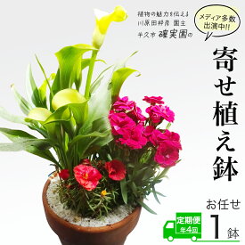 【ふるさと納税】《 3ヶ月に1回お届け！年4回 定期便 》【 確実園 オリジナル 】 寄せ植え（おまかせ1点） ガーデニング 花 はな フラワー 鉢 鉢植え