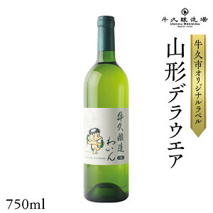 yӂ邳Ɣ[Łzw v 킢 x R`fEGA × 1{ 錧Y v {C C C 750ml  蕨 n  Ԃǂ m pCibv _