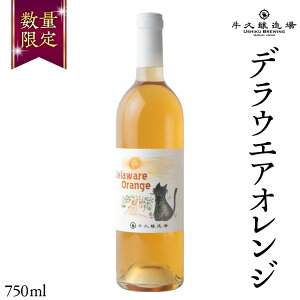 yӂ邳Ɣ[Łz fEGAIW Delaware Orange 750ml×1{ 錧Y v {C C 750ml ~fBA{fB  蕨  Ԃǂ IWC