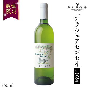 yӂ邳Ɣ[Łz fEFAZZC Delaware Sensei 2024 750ml×1{ 錧Y v {C C C 750ml ~fBA{fB  蕨  Ԃǂ