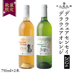yӂ邳Ɣ[Łz fEFAZZC2024EfEFAIW2{Zbg 錧Y v {C C C 750ml ~fBA{fB  蕨  Ԃǂ IWC