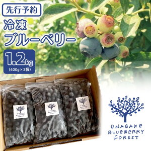 yӂ邳Ɣ[Łzs s\ t Ⓚ u[x[ 400g×3 y2026N7{蔭Jnz Ⓚ 嗱 t[c ʕ   _ _sgp  蕨 W X[