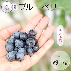 yӂ邳Ɣ[Łzs s\ tn VNu[x[ 1kg y2026N6{蔭Jnz Yn  x[ 1kg 1L Â Î_ς Ⓚ 嗱   t[c ʕ 