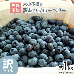 yӂ邳Ɣ[Łzs s\ tu[x[ 召s  1kgy2026N6{蔭Jnz A Bi  Â Î_ς Yn  fU[g W X[W[