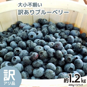 yӂ邳Ɣ[Łz召s 󂠂 Ⓚu[x[ 1.2kg Â Î_ς Ⓚt[c ʕ    yY 蕨  Mtg Y  _