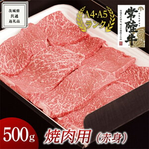 yӂ邳Ɣ[Łzs 헤 t ē p ( Ԑg ) 500g ( 錧ʕԗi ) Y ē Ă o[xL[ BBQ  A4N A5N uh јa a Yјa Y