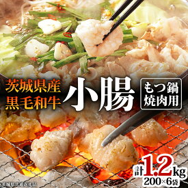【ふるさと納税】【茨城県産】 黒毛和牛 もつ鍋 焼肉用 小腸 1.2kg（200g×6パック） (茨城県共通返礼品) 国産 牛肉 肉 お肉 ホルモン もつ 焼肉