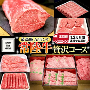 yӂ邳Ɣ[Łz y  12  z ō A5N 헤 ґR[X (錧ʕԗi)  Y   uh 󏭕 q T[C [X  ē BBQ Xe[L 
