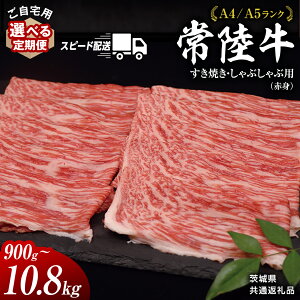 yӂ邳Ɣ[Łzy 헤 zp Ă Ԃ p ( Ԑg ) 900g  E Ef ( 錧ʕԗi ) јa a Y 󂠂 킯 Y   ₫ uh 