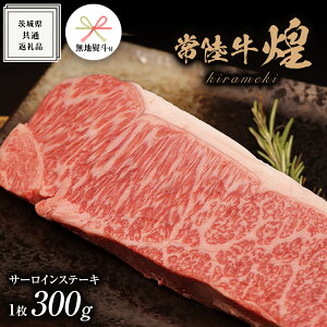 yӂ邳Ɣ[Łzs nlt ty 헤 z  T[C Xe[L 300g i 1 j( ϔ ) ( 錧ʕԗi ) Y ߂ ~ UV   A5N uh  Ђ