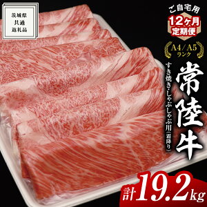 yӂ邳Ɣ[Łz_Iׂ锭Eeʁ^ y 헤 z p Ă Ԃԗp ( ~ ) 1.6kg  E [X E [X (錧ʕԗi) Iׂ锭  A3E6E12 