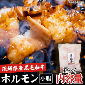 【ふるさと納税】 ＼選べる内容量／【茨城県産】 黒毛和牛 小腸 400g 800g 1.2kg (茨城県共通返礼品) 国産 牛肉 肉 お肉 ホルモン もつ 和牛 小腸 ホルモン 味付き 味付ホルモン タレ漬け 焼肉 BBQ 小分け 冷凍 料理 簡単