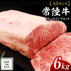 【ふるさと納税】 常陸牛 A5 等級 サーロイン ブロック 選べるキロ数 ( 2kg ～ 10kg ) ( 茨城県共通返礼品 ) 黒毛和牛 国産 業務用 大量 ブロック肉 塊 お肉 肉 A5ランク ブランド牛 牛肉 ひたち牛 ブランド和牛 ステーキ用