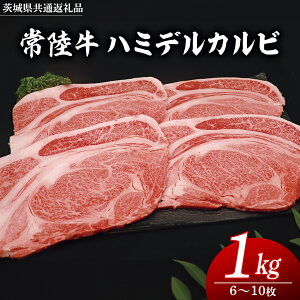 yӂ邳Ɣ[Łz _ Iׂe ^헤 n~fJr 300g 500g 1kg(錧ʕԗi) Y Ă Ju Q^ uc u Jr o[xL[ BBQ  uh јa 