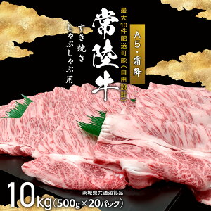 yӂ邳Ɣ[Łz y ő10 z헤A5i~j₫EԂԗp 10kg J^EJ^[XE[X ʔő10ΉR[X ( 錧ʕԗi )   kΉ R