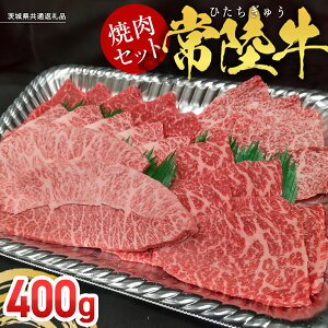 yӂ邳Ɣ[Łz y헤zēZbg 400g (錧ʕԗi) Y    Ă o[xL[ BBQ ~XW C`{ TT~ Uug VV JCm~ {W[ ^eo Opo