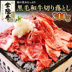 yӂ邳Ɣ[Łzs a t 헤 I ؂藎Ƃ  300g Y ē Ă o[xL[ BBQ uh јa Ԑg  Mtg 蕨 j 