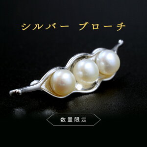 yӂ邳Ɣ[Łzy ʌ z Vo[ u[` ANZT[ WG[ fB[X p[ I LO Mtg 蕨