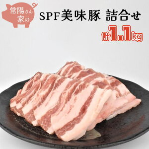 yӂ邳Ɣ[ŁzzƂ SPF  l v 1.1kg Hה Zbg ؓ [X Ԃԗp 300g×2 oĂp 500g v 1.1kg Y uh   SPFF _ ē Ă 