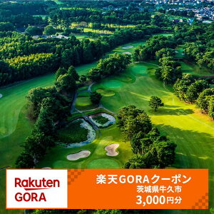 yӂ邳Ɣ[Łz錧vs̑ΏۃStŎgyVGORAN[| tz10,000~iN[|z3,000~j