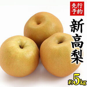 yӂ邳Ɣ[Łzs s\ t 錧Y  V i 5kg j y 2025N 9{蔭Jn z ɂ jC^J t[c ʕ Ȃ iV { VN { Ԍ Y