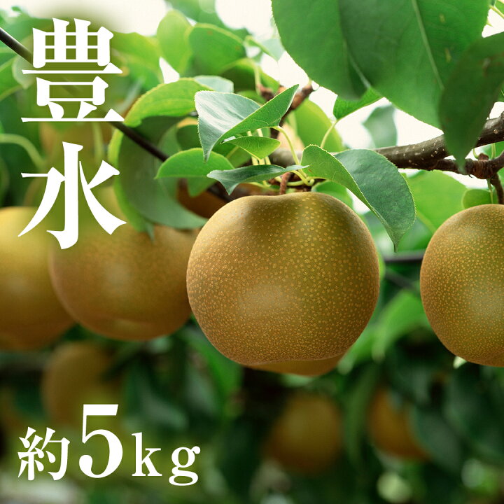 楽天市場】【ふるさと納税】 茨城県産 梨 豊水 （約 5kg ） 10～16玉 