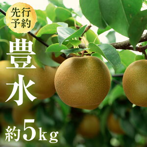 yӂ邳Ɣ[Łz y 2026N8{Jn z 錧Y  L i 5kg j 10`14  Ȃ a { ʕ t[c VN { Ԍ Y s\