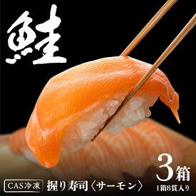 【ふるさと納税】サーモン推し！ 冷凍握り寿司 24貫 CAS精密冷凍 すし 寿司 サーモン 鮭 ネギトロ