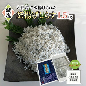 yӂ邳Ɣ[ŁzÍ`g g炷 500g 1kg 1.5kg y  Iׂ e z (錧ʕԗiFks) 炷 炷  g VN VX CN qǂ JVE 