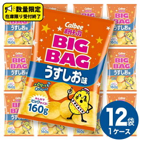 【ふるさと納税】カルビー ポテトチップス BIGBAG 160g うすしお ・ のりしお ・ コンソメパンチ ポテチ お菓子 おかし 大量 スナック おつまみ ジャガイモ じゃがいも まとめ買い 数量限定 定期便