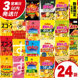 【選べる配送方法】【最短3営業日！スピード発送】カルビー ...