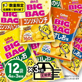 【ふるさと納税】カルビー ポテトチップス BIGBAG 160g うすしお ・ のりしお ・ コンソメパンチ ポテチ お菓子 おかし 大量 スナック おつまみ ジャガイモ じゃがいも まとめ買い 数量限定 定期便