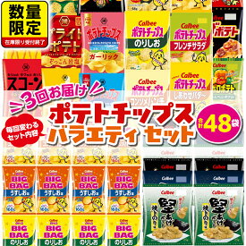 【ふるさと納税】 【 スナック菓子 3ヶ月 定期便 】 カルビー 湖池屋 人気 48袋 詰め合わせ バラエティ セット スナック ポテトチップス ポテチ ポテトチップ 菓子 お菓子 おかし おやつ おつまみ 大量 BIGBAG 堅あげポテト のりしお うすしお ブラックペッパー 頒布会