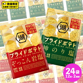 【ふるさと納税】湖池屋 プライドポテト55g 2種類 詰め合わせ セット ポテチ お菓子 おかし スナック ポテトチップス のり塩 塩 ポテト 数量限定 まとめ買い