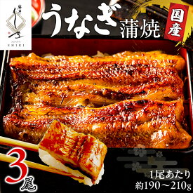 【ふるさと納税】 【12/21入金確認分まで年内お届け】 【 麻布しき 】 国産 鰻 蒲焼 × 3尾 うなぎ ウナギ 冷凍 おいしい 蒲焼き かばやき たれ焼き 土用 丑の日 無頭 タレ 山椒 付 縁起 敬老の日 名店 老舗