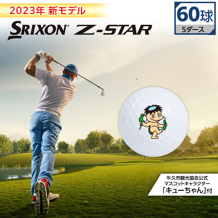 2023年 新モデル 60球 Z-STAR ゴルフボール ゴルフ工房 贈り物 SRIXON