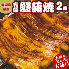 【ふるさと納税】鹿児島県産 有頭 鰻 蒲焼 × 2尾 （ 1尾 135g ～ 155g 以上） 【 数量限定 寄附額 13,000円 → 12,000円 】 うなぎ ウナギ 土用丑の日 家庭用 贅沢 国産 旬 敬老の日 タレ 山椒 付 縁起 土用の丑の日 鰻祭り 期間限定 楽天スーパーセール